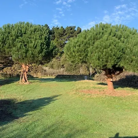 Villa Maison 100 M Plage, 2 Kms Du Port *