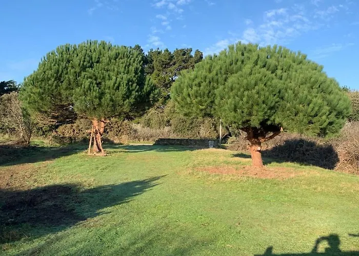 Villa Maison 100 M Plage, 2 Kms Du Port *